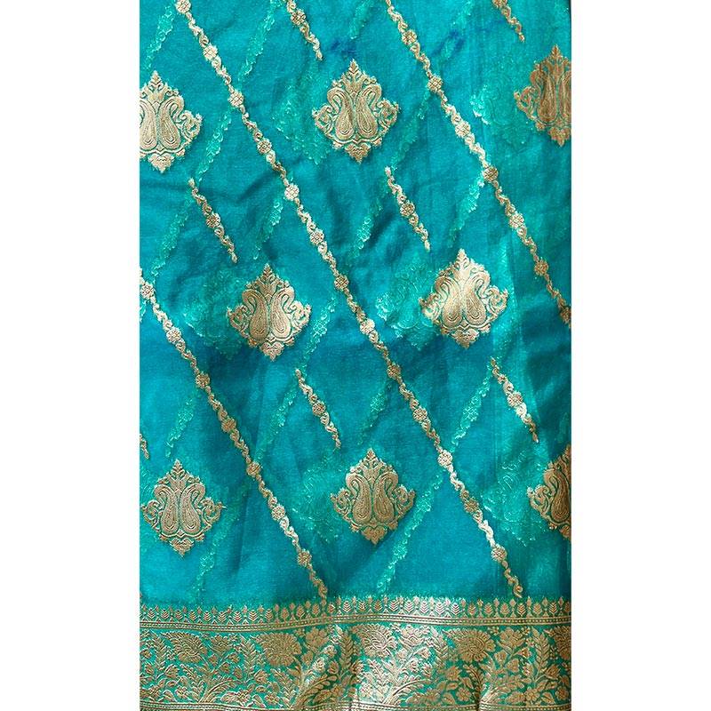 Organza Sari 002