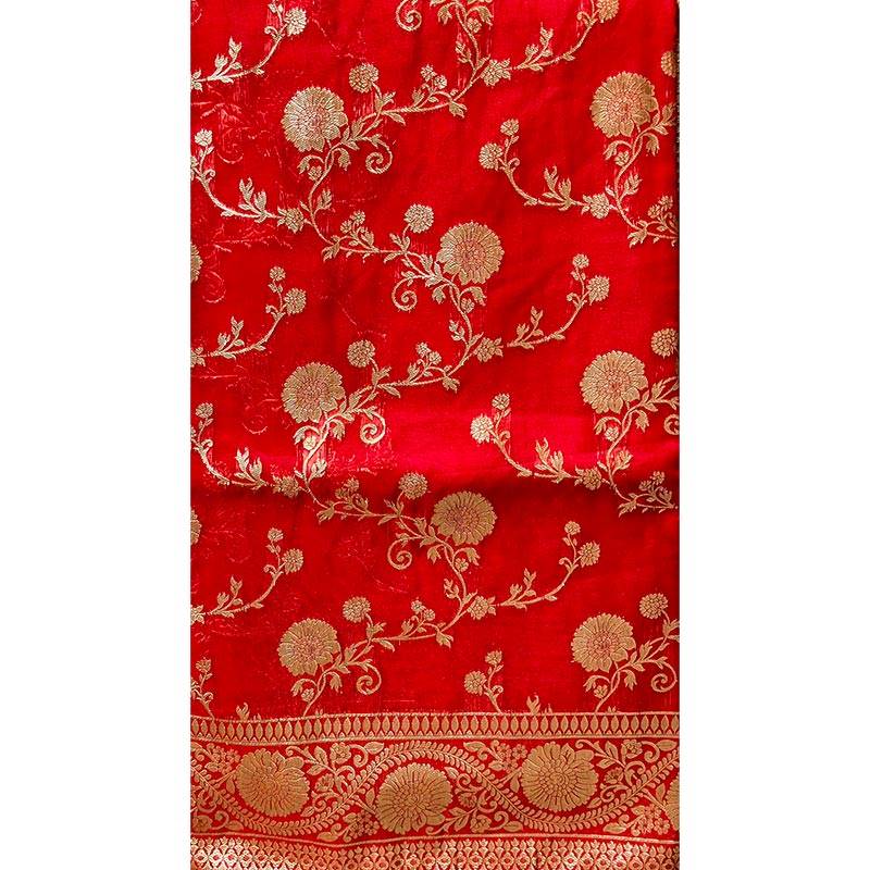 Organza Sari 004
