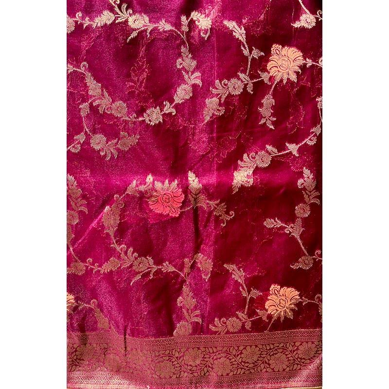Organza Sari 005