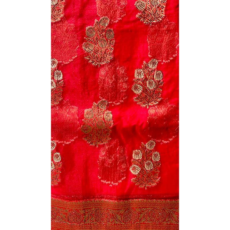 Organza Sari 006