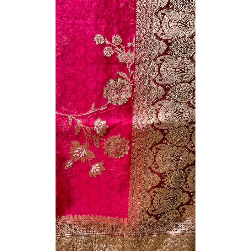 Organza Sari 009