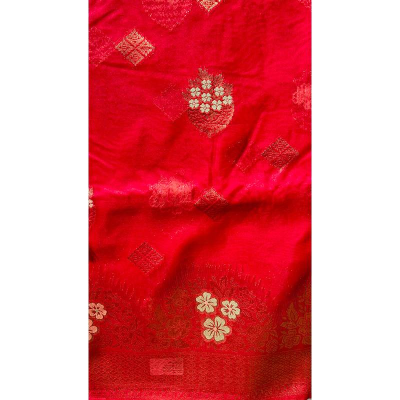 Organza Sari 010