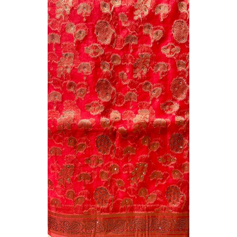 Organza Sari 011