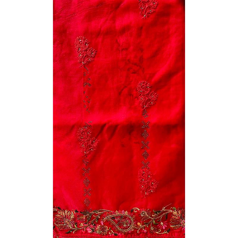 Organza Sari 012