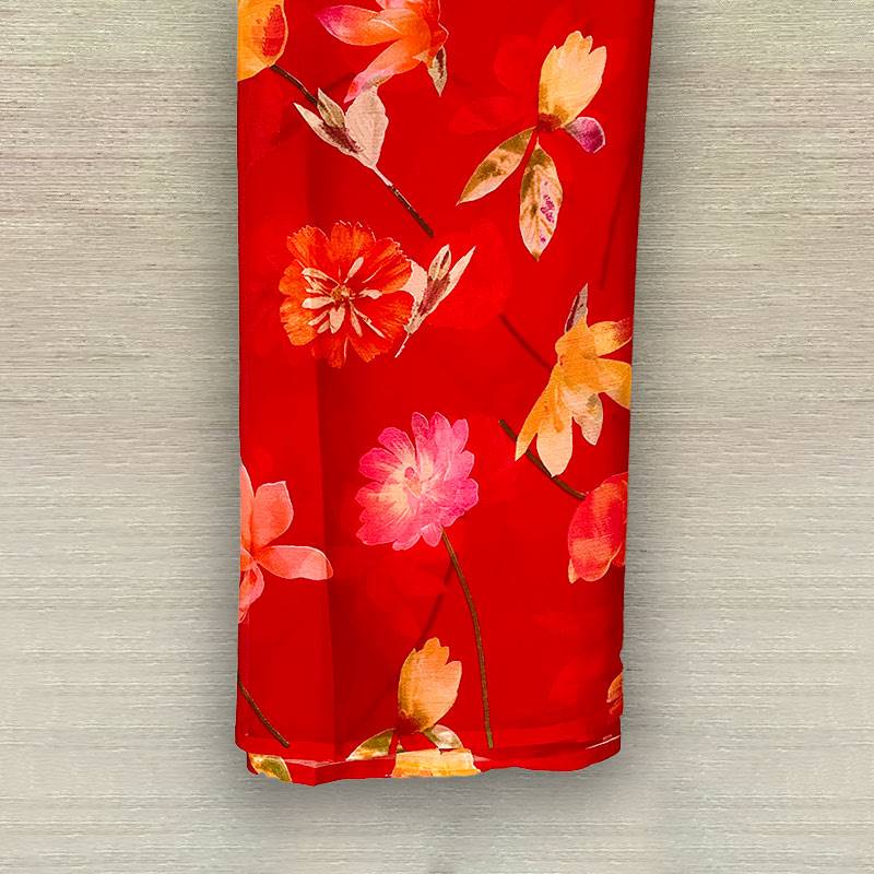 Chiffon Sari 25-03-09-001