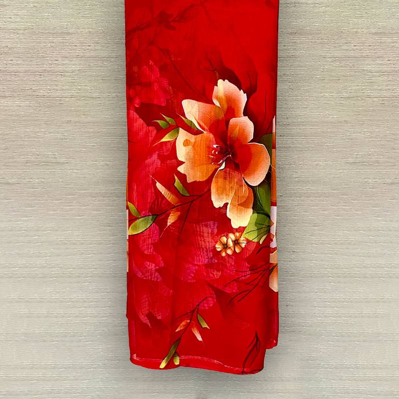 Chiffon Sari 25-03-10-004