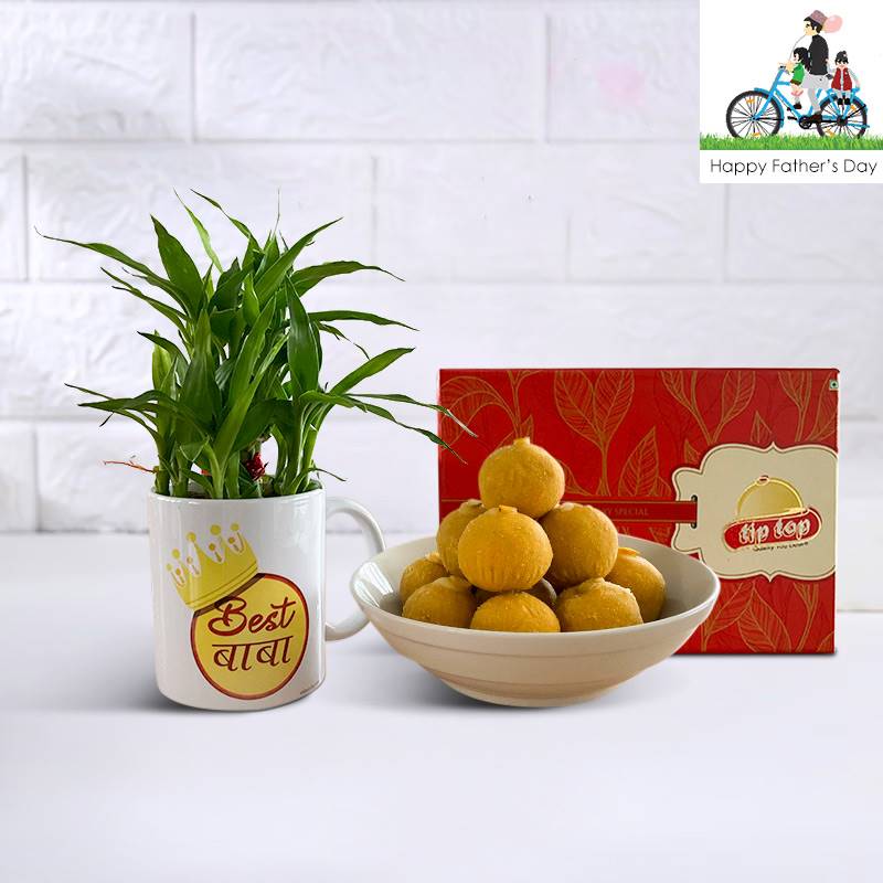 Lucky Bamboo with Best Baba Mug & Sugarless Besan Laddoo