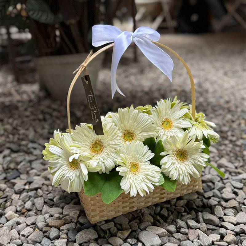Ivory Gerbera Charm Basket