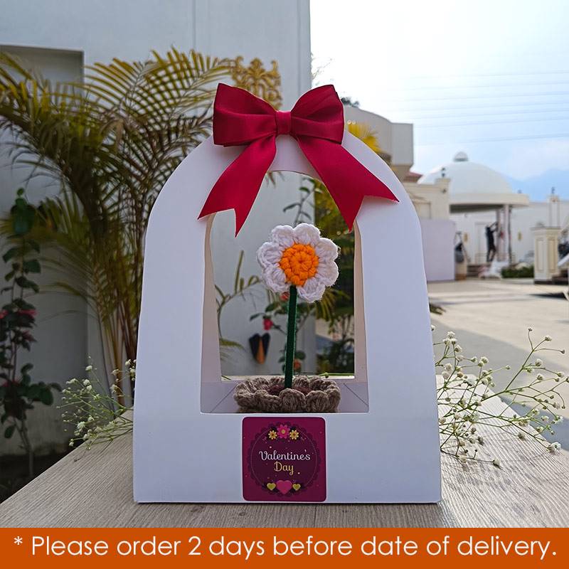 Love Knot White Crochet Daisy in Elegant Casing