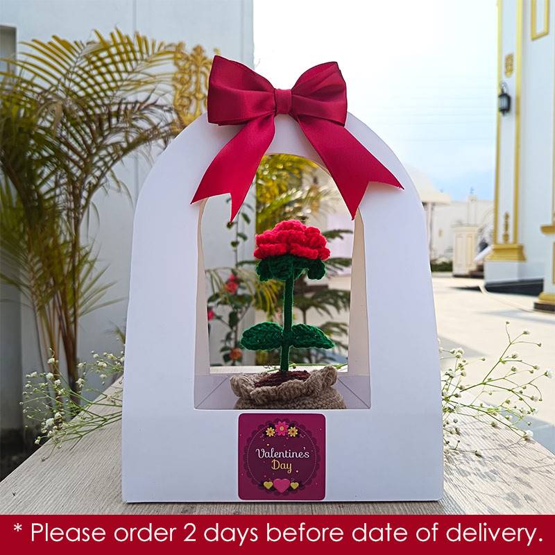 Romantic Crochet Rose Knot in Elegant Casing