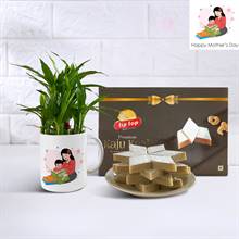 Lucky Bamboo with My Dearest Mom Mug & Kaju Barfi