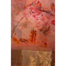 Chiffon Sari 26-03-09-001