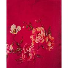 Silk Sari 26-03-13-006