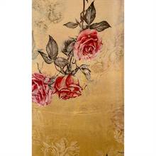 Silk Sari 26-03-13-007