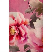 Silk Sari 26-03-16-003