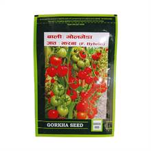 Gorkha Seed Tomato Jharana F1 Hybrid