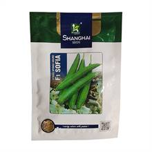 Shanghai Seeds Hybrid Sponge Gourd (F1 Sofia)