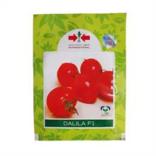 East West Seed International Dalila F1 Tomato