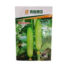 Cucumber Brishma Hybrid F1