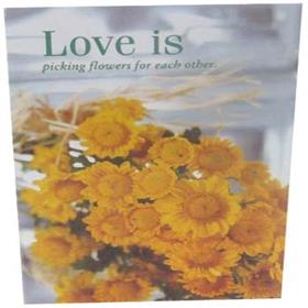 Love is Picking Flowers for Each Other Card (rl000040)