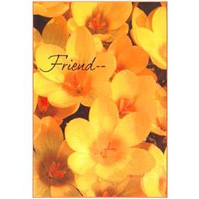 Friend Card (rf000007)