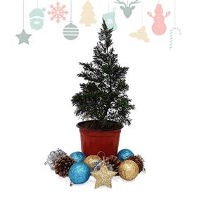 Small Christmas Tree with Decorations