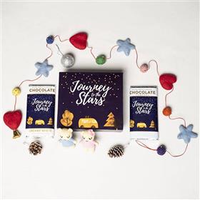 Journey to the Stars