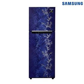 Samsung 253 L Double Door Refrigerator - Mystic Overlay Blue (RT28A32216U/IM)
