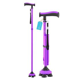 Drive Devilbiss Walking Stick