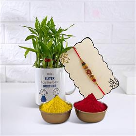 Playful Colors Rakhi with Lucky Bamboo Plant and Tika – Type A