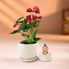 Lord Ganesh Murti with Anthurium Lilli Plant
