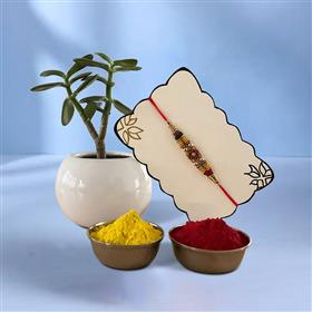 Playful Colors Rakhi with Jade Plant and Tika