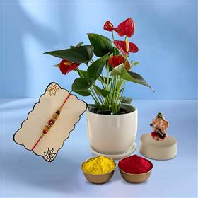 Playful Colors Rakhi with Anthurium Lilli Plant and Lord Ganesh Murti