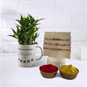 Three Rakhis with Lucky Bamboo Plant and Tika
