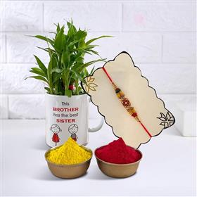 Playful Colors Rakhi with Lucky Bamboo Plant and Tika – Type B