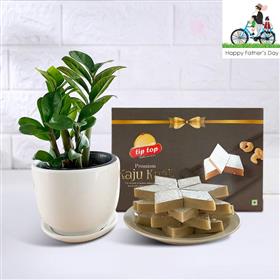 ZZ Plant with Kaju Barfi 