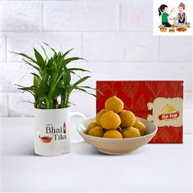 Lucky Bamboo with Bhai Tika Mug & Besan Laddoo