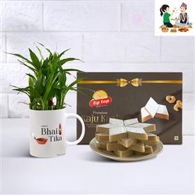 Lucky Bamboo with Bhai Tika Mug & Kaju Barfi