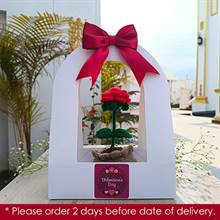 Romantic Crochet Rose Knot in Elegant Casing