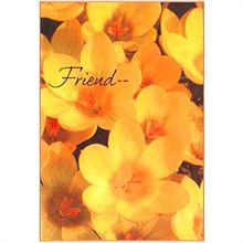 Friend Card (rf000007)