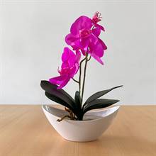 Magenta Artificial Orchids in a Vase