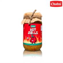 Chatni Hot Dalle Pickle (400 g)