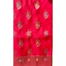 Organza Sari 001