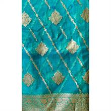Organza Sari 002