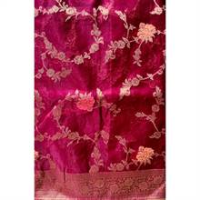 Organza Sari 005