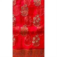 Organza Sari 006