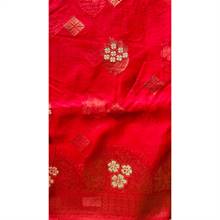 Organza Sari 010