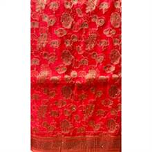 Organza Sari 011