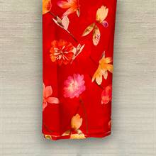 Chiffon Sari 25-03-09-001
