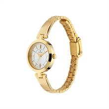 Titan Quartz Analog Silver Dial Golden Metal Strap Watch For Women 2598YM02